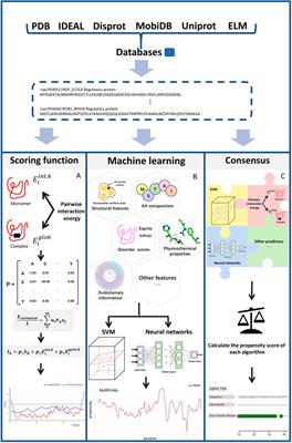 Prediction of protein-protein interaction sites in intrinsically disordered proteins